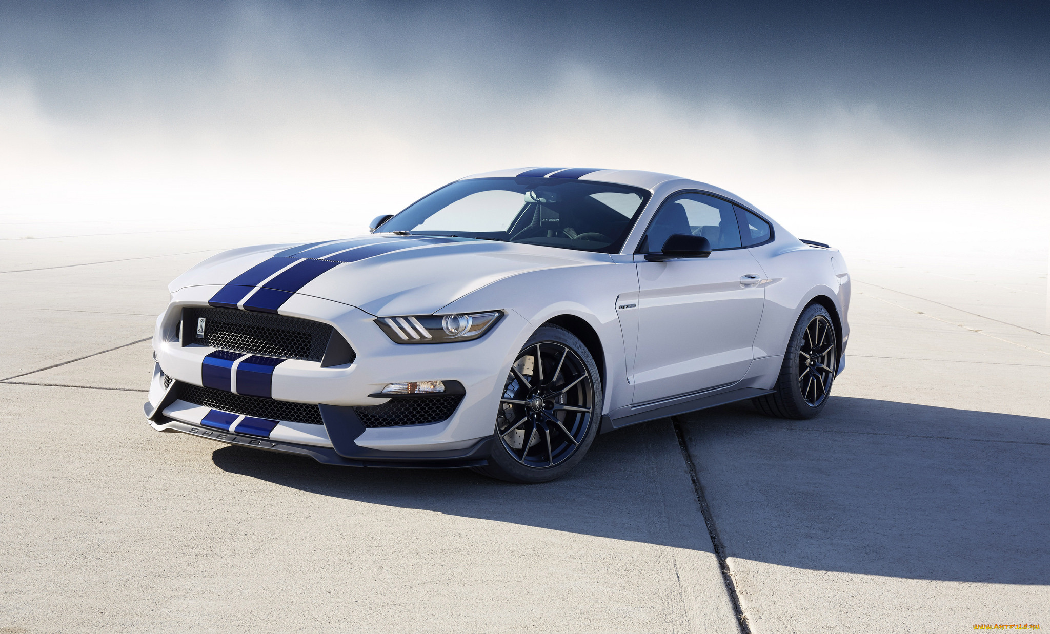 ford mustang shelby gt350, , mustang, 